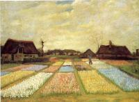 Gogh, Vincent van - Bulb field
